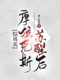 [综] 摩拉克斯苏醒之后